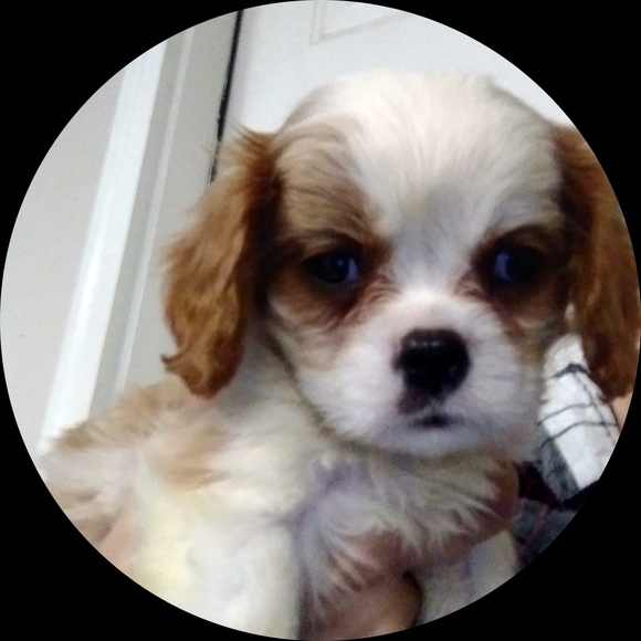 Profile Picture of Jane Goldstein (@cooperjane65) on Poshmark
