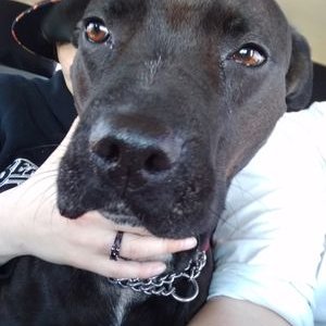 Profile Picture of JACKIE BEAUCHAMP (@JACKIEB17210576) on Twitter