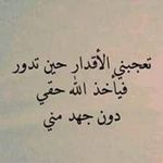 Profile Picture of Zohra Anwar (@anwar.zohra) on Instagram