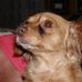 Profile Picture of Joyce Ault (@joyce.ault.3) on Facebook