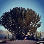 Profile Picture of Pia.S.M (@michaelis.sophie) on Instagram