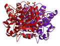 Profile Picture of Glycerol-3-phosphate dehydrogenaseon Wikipedia
