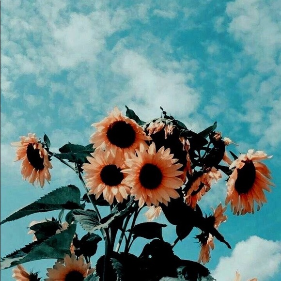 Profile Picture of Tabitha Newlin (@tabinewlin) on Poshmark