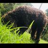Profile Picture of Zachary Swift (@@avagirl317) on Tiktok