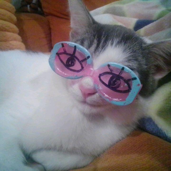 Profile Picture of Lori.Watson (@wilkixjglsh) on Tiktok