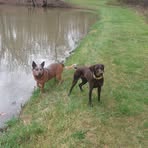 Profile Picture of Bryan Kohlmeier (@Bryan-Kohlmeier) on Facebook