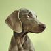 Profile Picture of Ludovic Mazocky (@lmazocky) on Pinterest