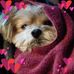 Profile Picture of Cindy Warfield (@cindy.warfield.16) on Facebook