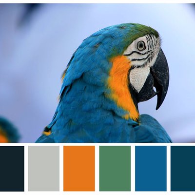 Brian Skowron - Twitter Profile Picture of Brian Skowron (@SkowronBrian) on Twitter