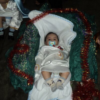 Profile Picture of Amalia Arambulo Dave (@AmaliaDave) on Twitter