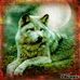 Profile Picture of Cliff Yokota (@cliff.yokota.75) on Facebook