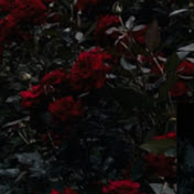 Profile Picture of MayMay! (@MayMay-20-11) on Youtube