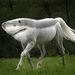 Profile Picture of Matthew Garrison (@garrison5252) on Pinterest