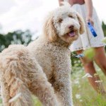 Profile Picture of Franklin Wharton (@therealfrankdaddy) on Instagram