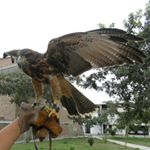 Profile Picture of carlos egoavil fernandes (@carlosegoavil__fernandes) on Instagram