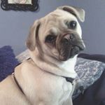 Profile Picture of Marcia Joiner Rudd (@marcia.rudd.1) on Instagram