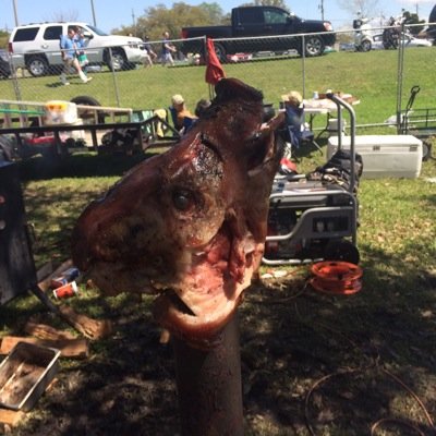 Profile Picture of David Oser (@ChefDaveOser) on Twitter