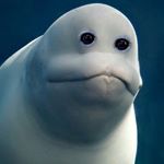 Profile Picture of Jeremy Searle (@juicewhale) on Instagram