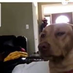 Profile Picture of mike s. (@mike.schuster66666) on Instagram