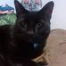Profile Picture of John Osbun (@john.osbun.7) on Facebook