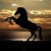 Profile Picture of Christopher Blakeman (@christopher.blakeman.1804) on Facebook