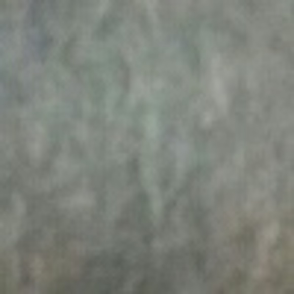 Alex Tarr - Poshmark Profile Picture of Alex Tarr (@atarr) on Poshmark