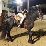Profile Picture of Jesus ureña (@jesuszeus7) on Instagram