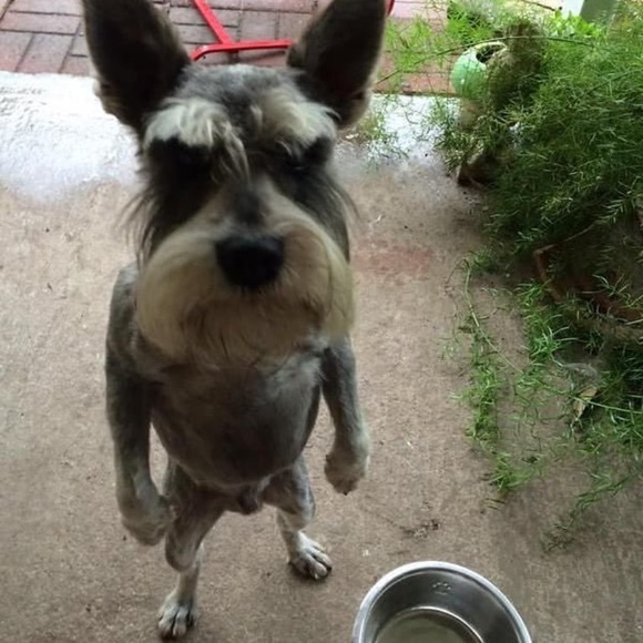 Nathan Pitt - Poshmark Profile Picture of Nathan Pitt (@theylovenate) on Poshmark