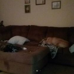 Profile Picture of Stephen Budzinski (@StephenBudzins3) on Twitter