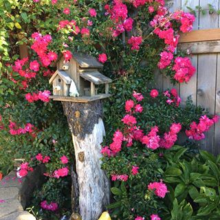 Profile Picture of Janet Farstad (@Janet-Farstad) on Facebook