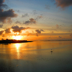 Profile Picture of Dwyran 5 (@Dwyran 5) on Flickr