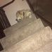 Profile Picture of Jay Shurey (@jay.shurey.397) on Facebook