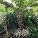 Profile Picture of Joshua Abrahim (@alastorx1900) on Pinterest