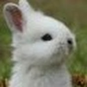 Profile Picture of Jimmy Levy (@jimmylevy2407) on Youtube