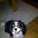 Profile Picture of David Leach (@davidleach76) on Instagram