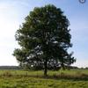 Profile Picture of Blane Dunbar (@@blanedunbar) on Tiktok