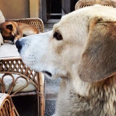 Profile Picture of David Gill (@shot2bits) on Twitter