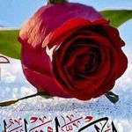 Profile Picture of Rita Salloum (@rita_salloum123) on Instagram