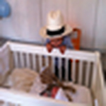 Profile Picture of Rover&sepp Leuvelink (@rover&sepp leuvelink) on Flickr