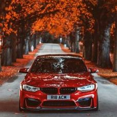 Profile Picture of David Lengyel (@DavidLengyel10) on Twitter