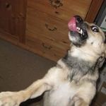 Profile Picture of Andreas Neuberger (@anneuberger) on Instagram