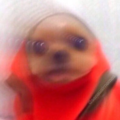 Profile Picture of Amber (@Seems_Chill) on Twitter