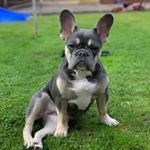 Profile Picture of Bryan Macleod (@bryan_macleod91) on Instagram