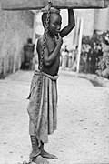 Profile Picture of Abolitionismon Wikipedia
