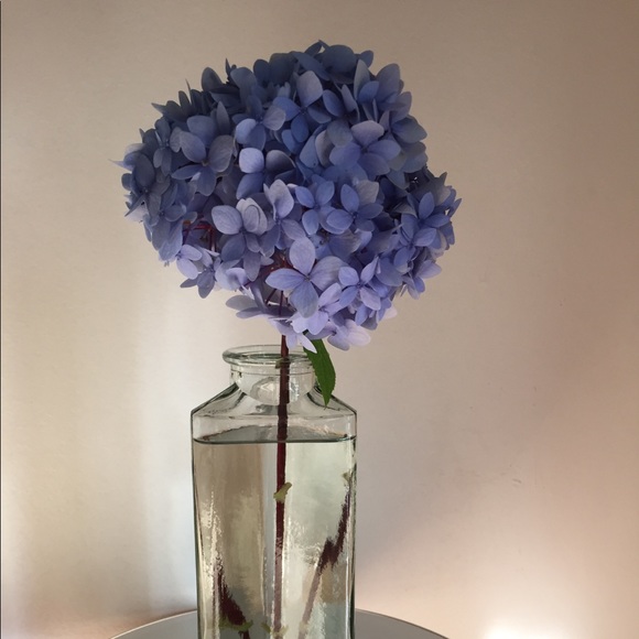 Profile Picture of Carioca Carioca (@erikad1977) on Poshmark