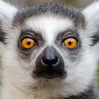 Profile Picture of Manny Rodriguez (@manny-rodriguez-76) on Quora