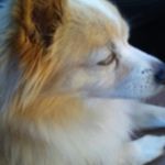 Profile Picture of Joseph Horchata (@adaptionz_monk) on Instagram