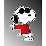 Paul Vermillion - Instagram Profile Picture of Paul Vermillion (@bubver) on Instagram