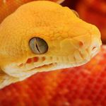 Paul Dimarco - Instagram Profile Picture of Paul Dimarco (@dimarcopaul) on Instagram