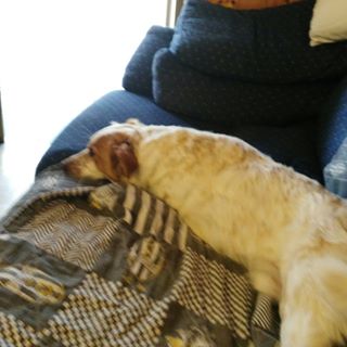 Profile Picture of Giorgio Repetto (@giorgio.repetto.9) on Facebook